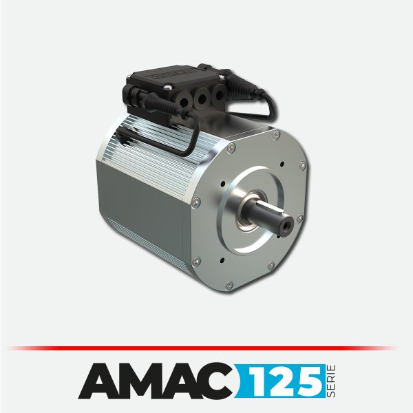 AC-Induction-Electric-Motor-125-035